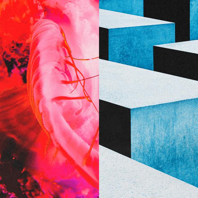 Album cover art for かすかなはな