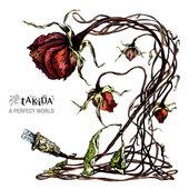 Album cover art for A Perfect World