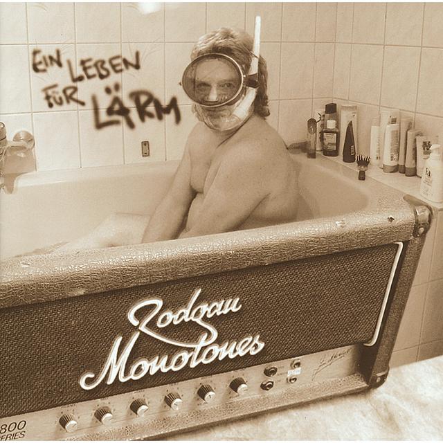 Album cover art for Ein Leben Fuer Laerm