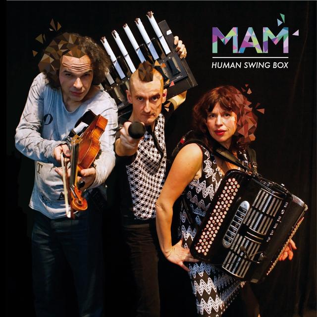 Album cover art for Human Swing Box