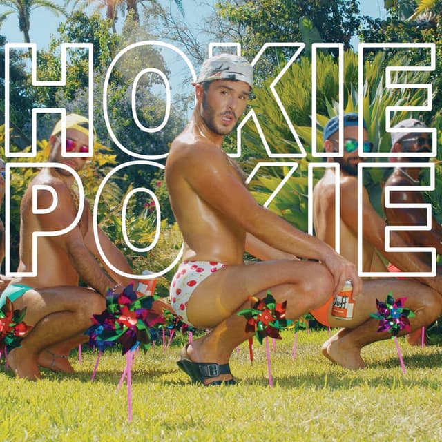 Album cover art for Hokie Pokie