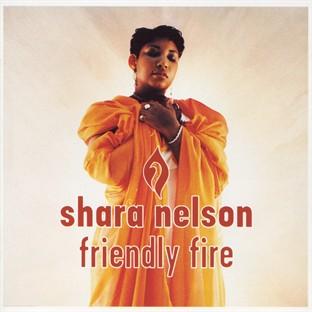 Album cover art for Friendly Fire