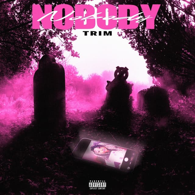 Album cover art for Nobody