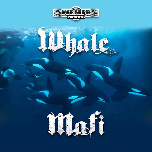 Album cover art for Whale Mafi