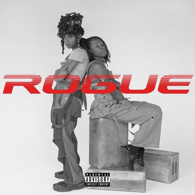 Album cover art for Rogue