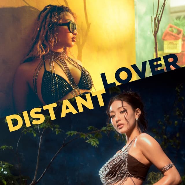 Album cover art for Distant Lover