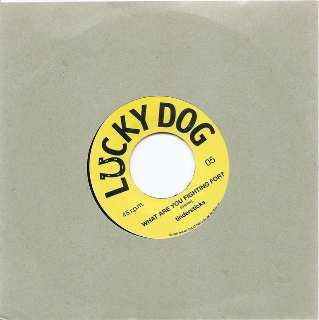 Album cover art for What Are You Fighting For?