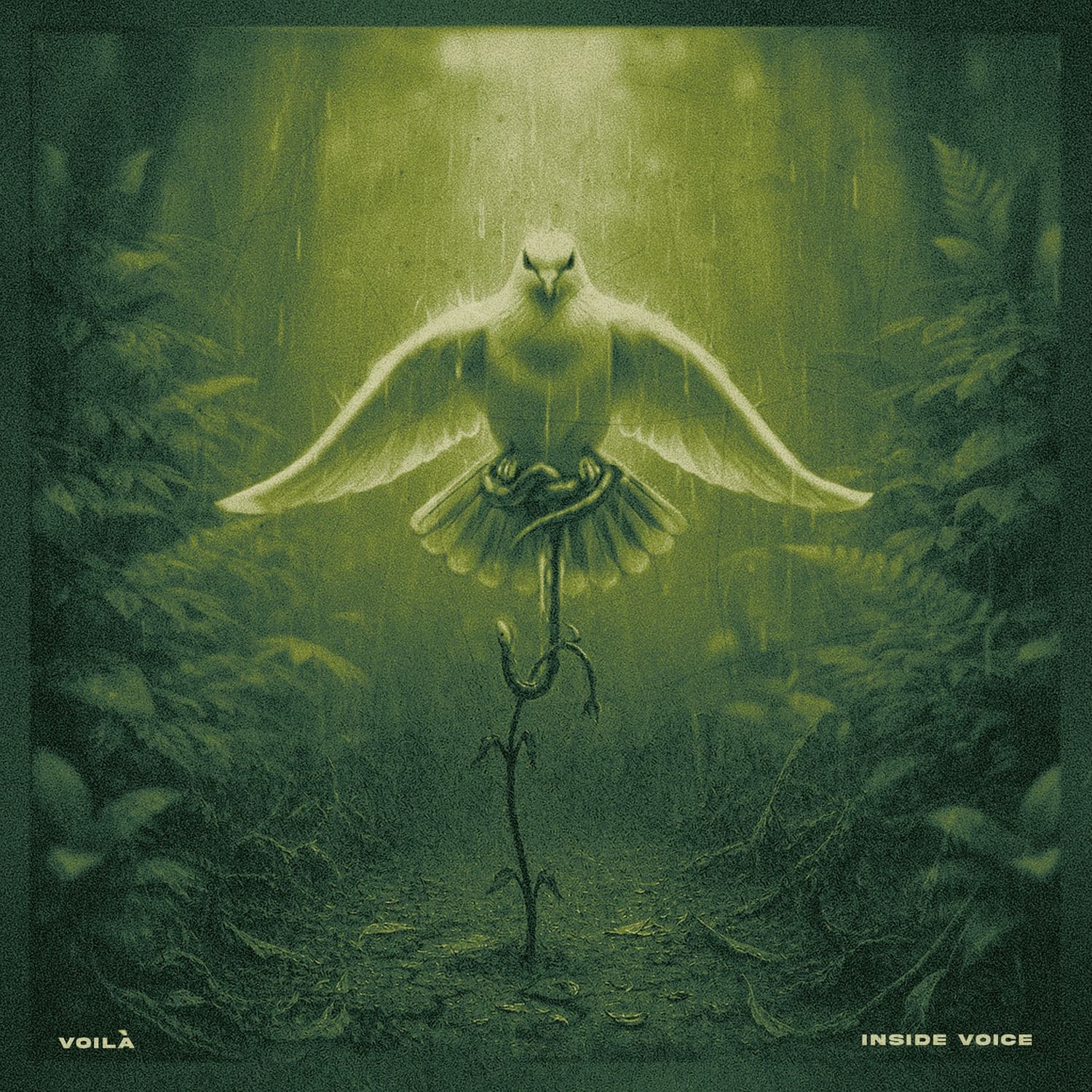 Lyric cover art