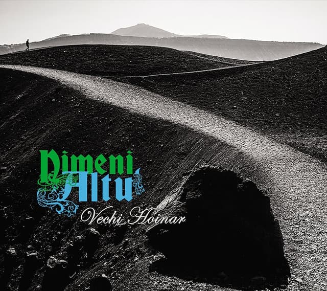 Album cover art for Vechi hoinar