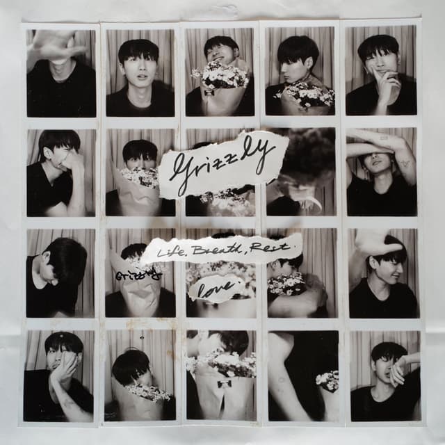 Album cover art for Life, Breath, Rest