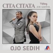 Album cover art for Ojo Sedih