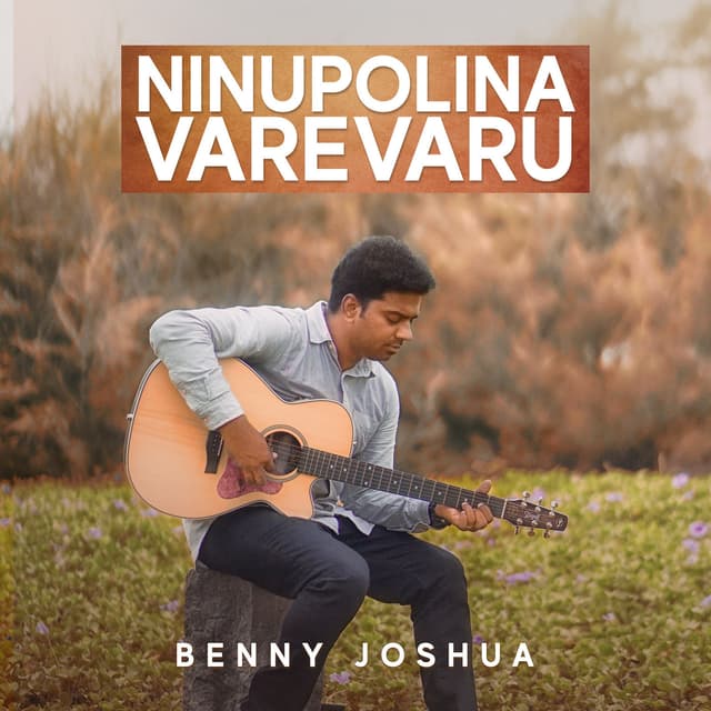 Album cover art for Ninupolina Varevaru