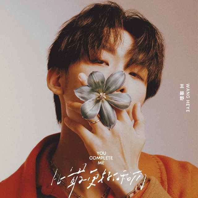 Album cover art for 比最更好的我们