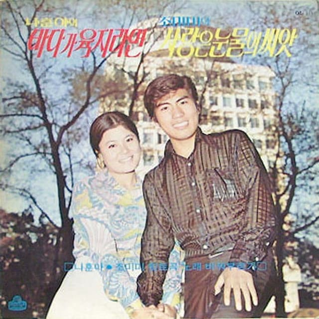 Album cover art for 나훈아 조미미 힛트곡노래 바꿔부르기
