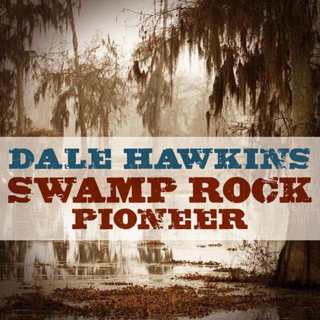 Album cover art for Swamp Rock Pioneer