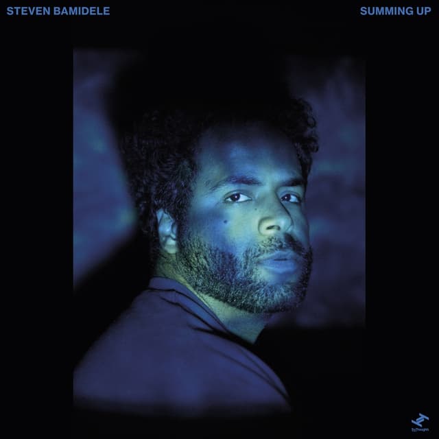 Album cover art for Summing Up