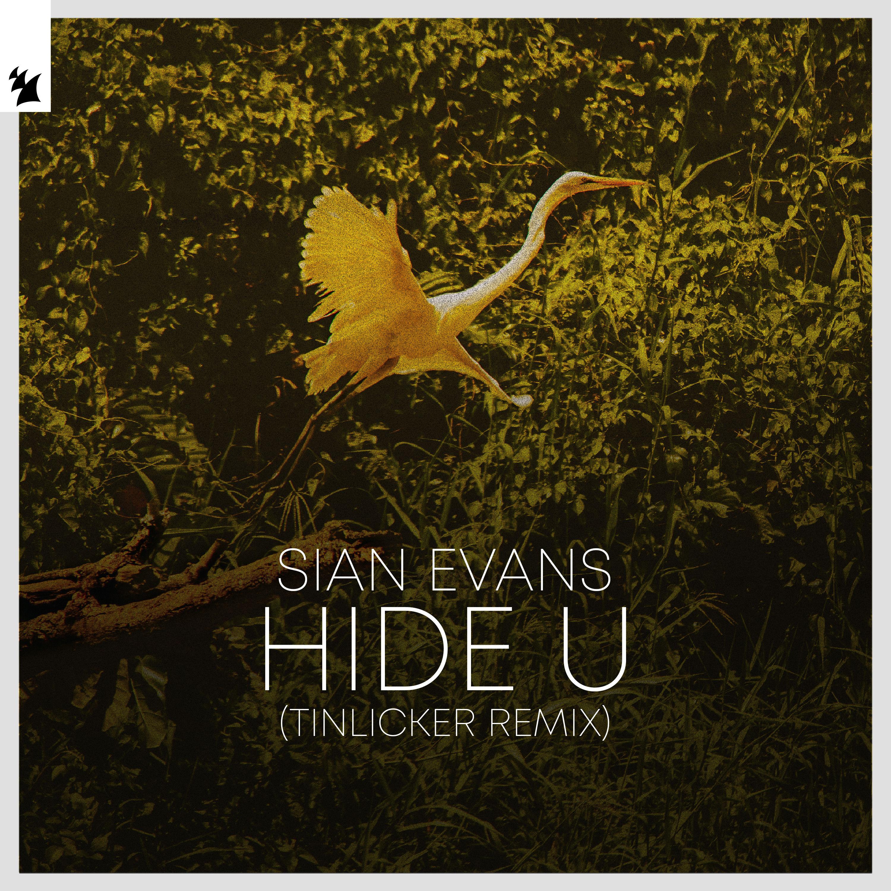 Hide U