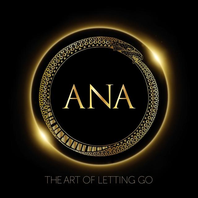 Album cover art for The Art of Letting Go
