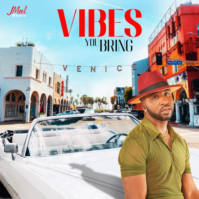 Album cover art for Vibes You Bring