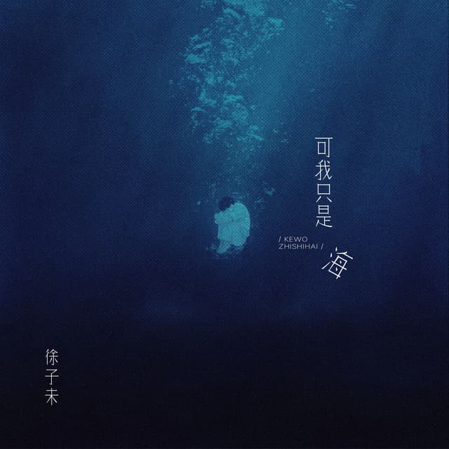 Album cover art for 可我只是海