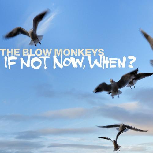 If Not Now, When ?