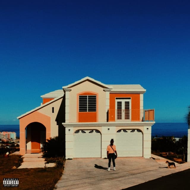 Album cover art for Bitch