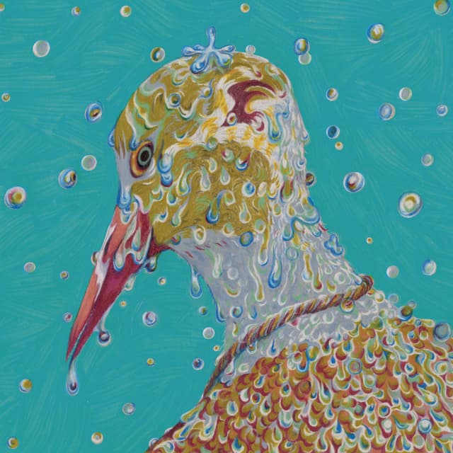 Album cover art for Morning Ritual