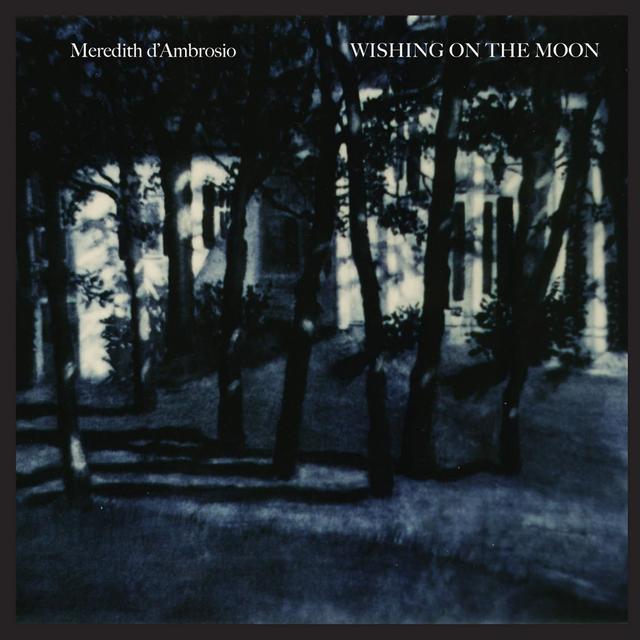 Album cover art for Wishing On The Moon