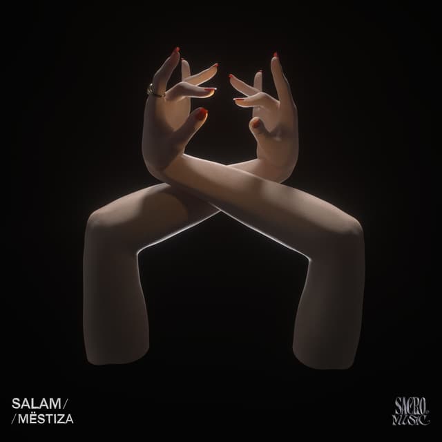 Album cover art for Salam