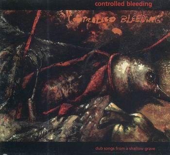 Album cover art for Dub Songs From A Shallow Grave