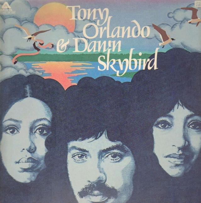 Album cover art for Skybird