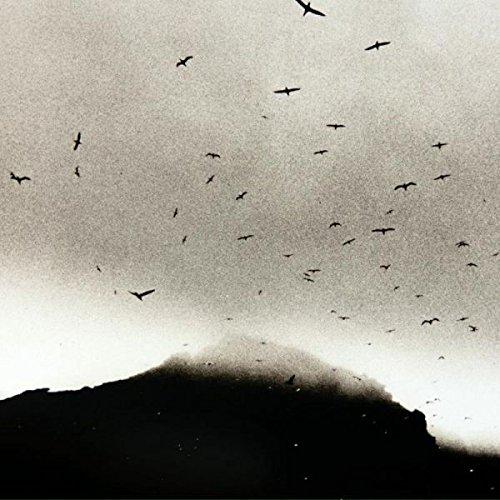Album cover art for If Wishes Were Horses