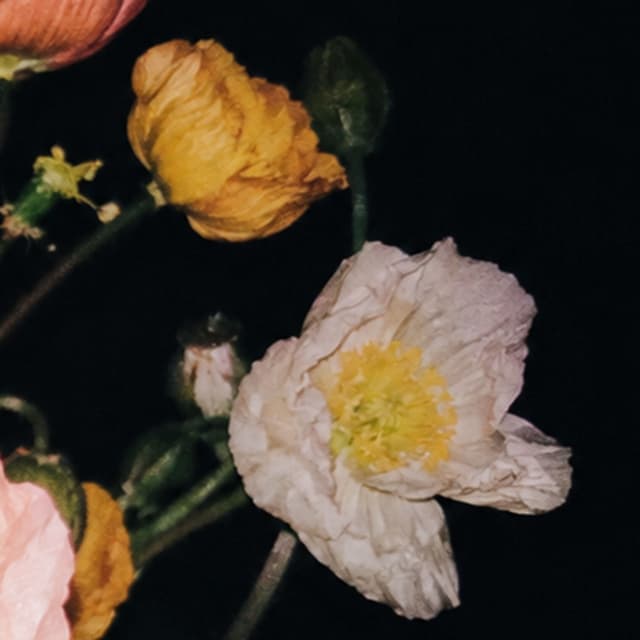 Album cover art for Lately