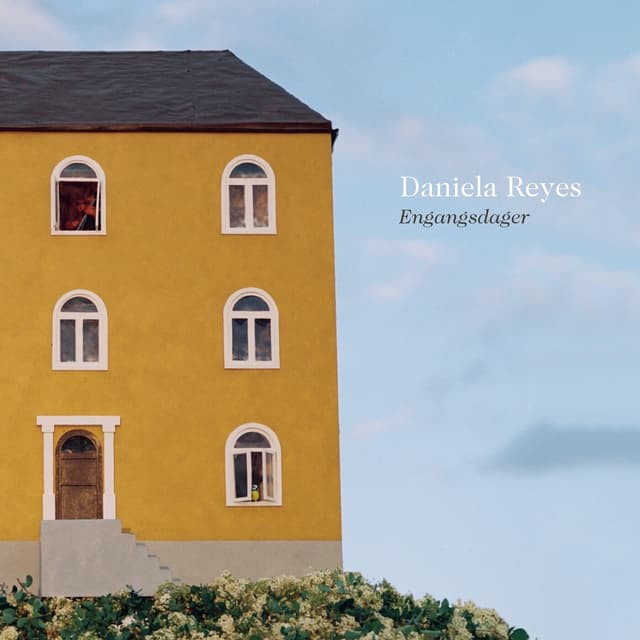 Album cover art for Engangsdager