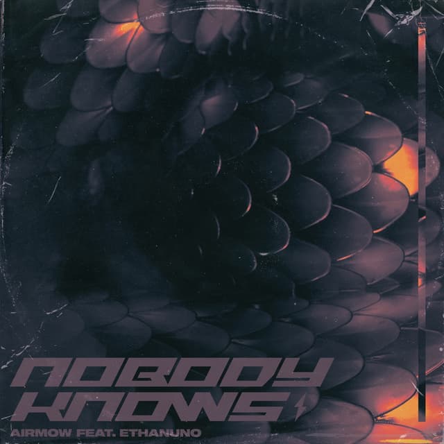 Album cover art for Nobody Knows