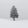 Fluttering Snow