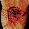 Eviscerated (Bitch)