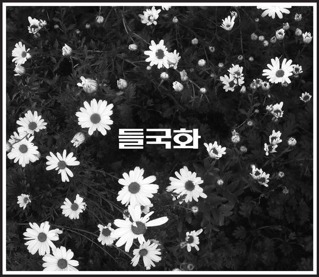 Album cover art for Deulgukhwa