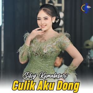 Album cover art for Culik Aku Dong