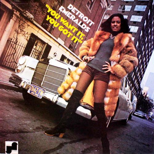 Album cover art for You Want it, You Got it