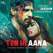 Album cover art for Tum Hi Aana