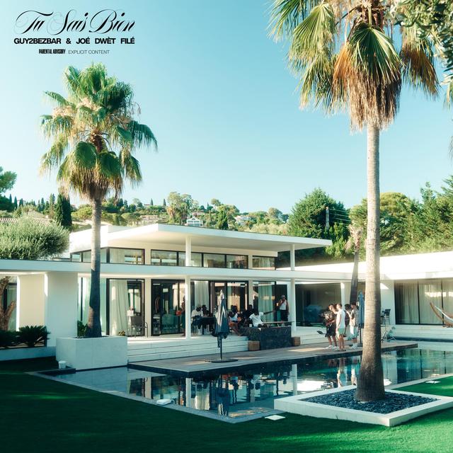 Album cover art for Tu sais bien