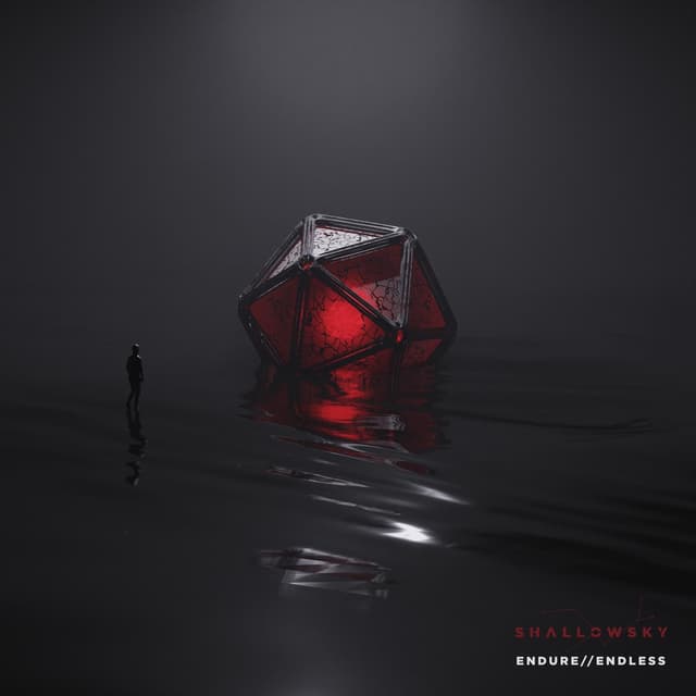 Album cover art for endure//endless