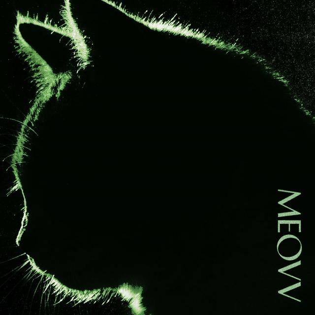 Album cover art for TOXIC