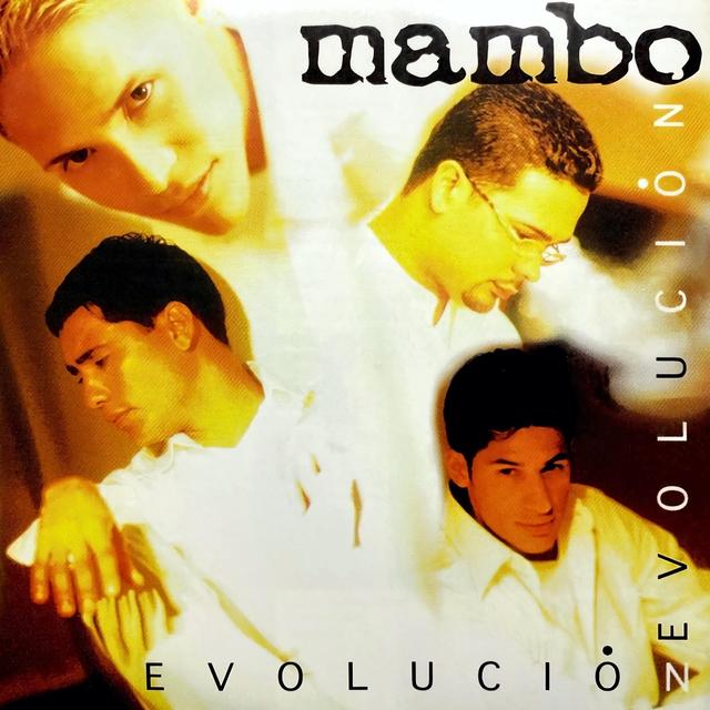 Album cover art for Evolución