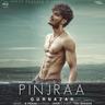 Pinjraa
