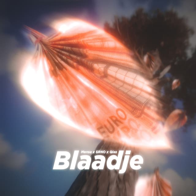 Album cover art for Blaadje