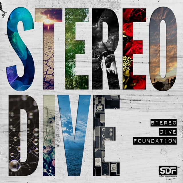 Album cover art for STEREO DIVE