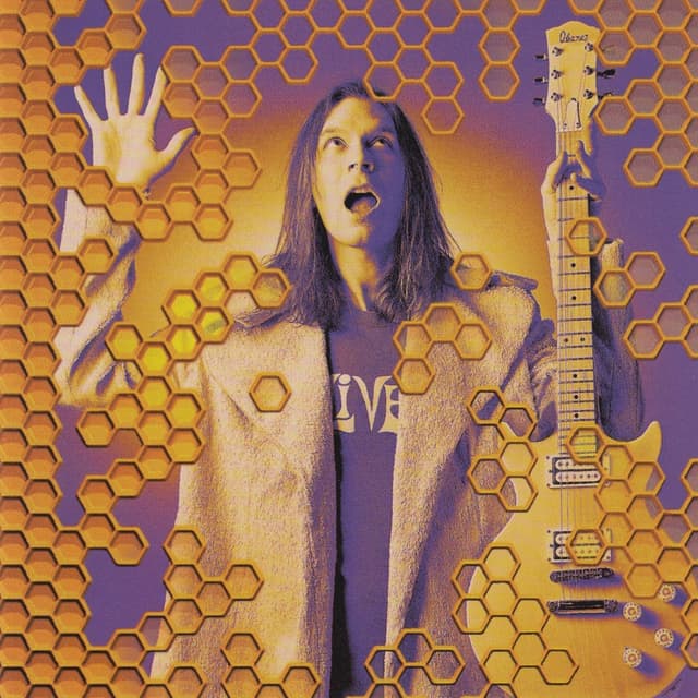 Album cover art for Beehive Live