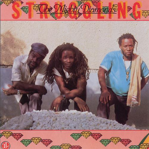 Album cover art for Struggling